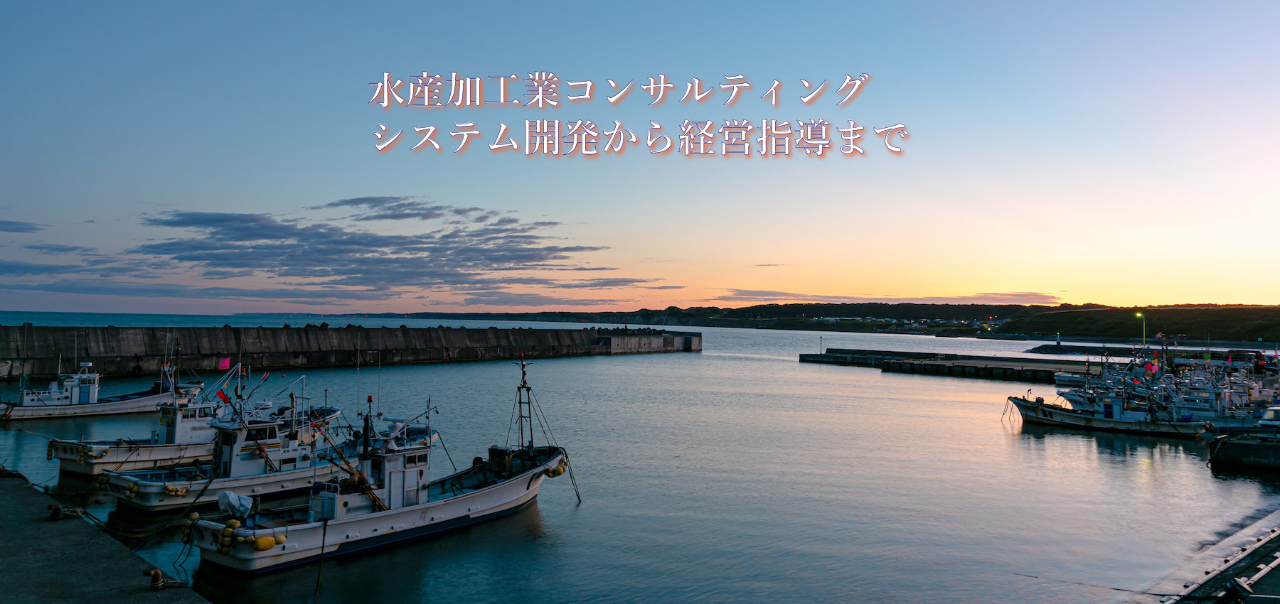 トップイメージ03